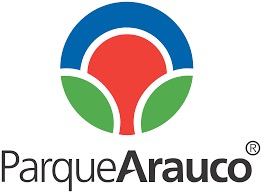 imagen 10